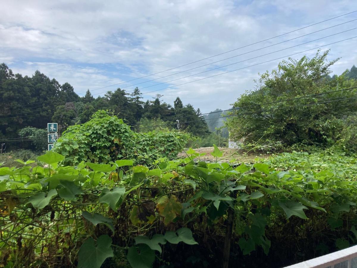 老老街 誠君民宿 Fenchihu Exterior photo